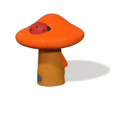 РМФ 4.473 Сыроежка